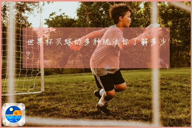 世界杯买球的多种玩法你了解多少？