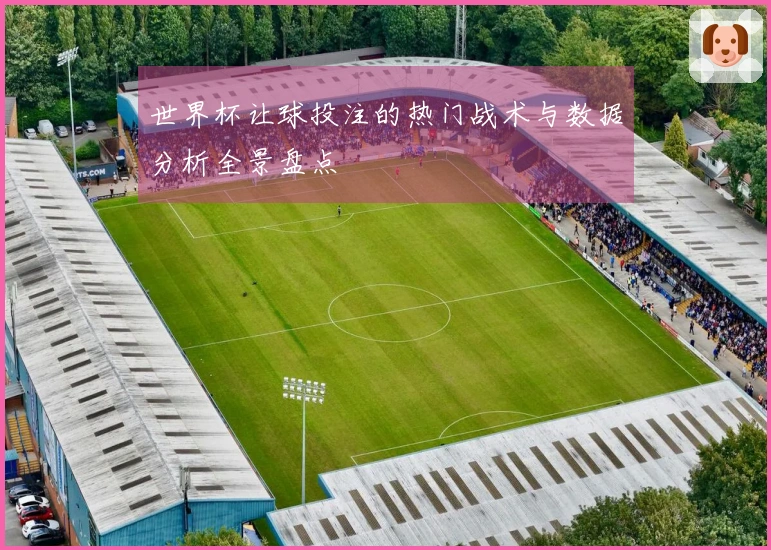 世界杯让球投注的热门战术与数据分析全景盘点
