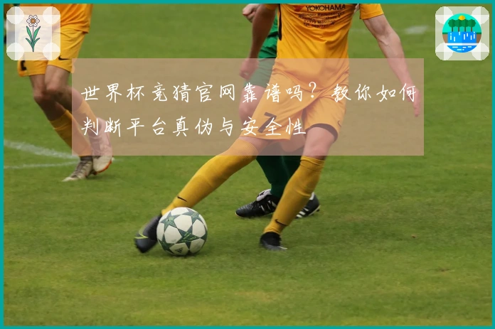 世界杯竞猜官网靠谱吗？教你如何判断平台真伪与安全性