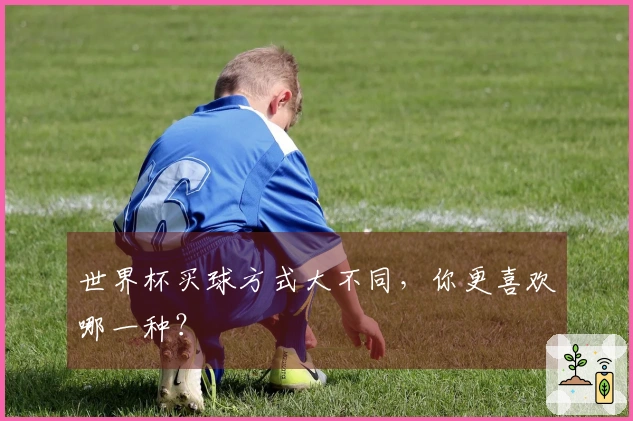 世界杯买球方式大不同，你更喜欢哪一种？