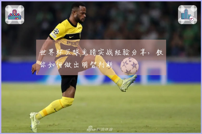 世界杯买球竞猜实战经验分享，教你如何做出明智判断