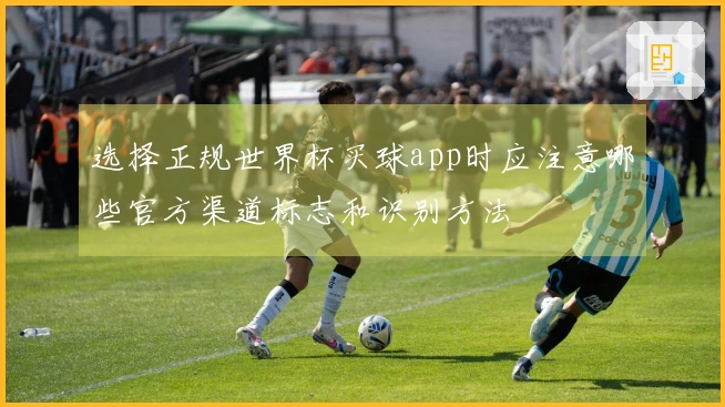 选择正规世界杯买球app时应注意哪些官方渠道标志和识别方法