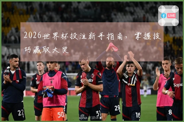 2026世界杯投注新手指南，掌握技巧赢取大奖