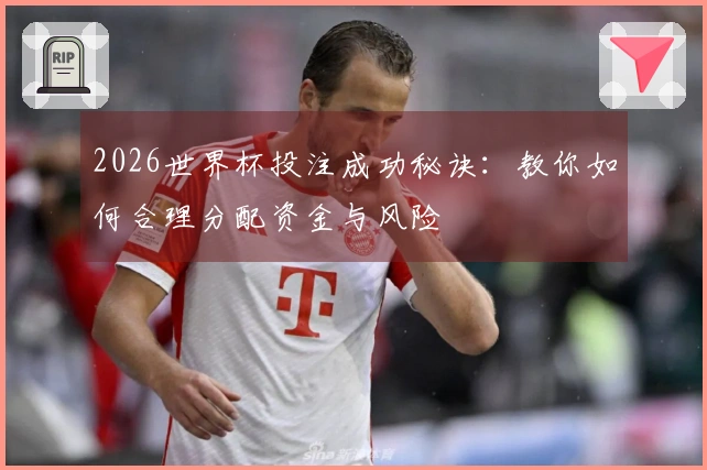 2026世界杯投注成功秘诀：教你如何合理分配资金与风险