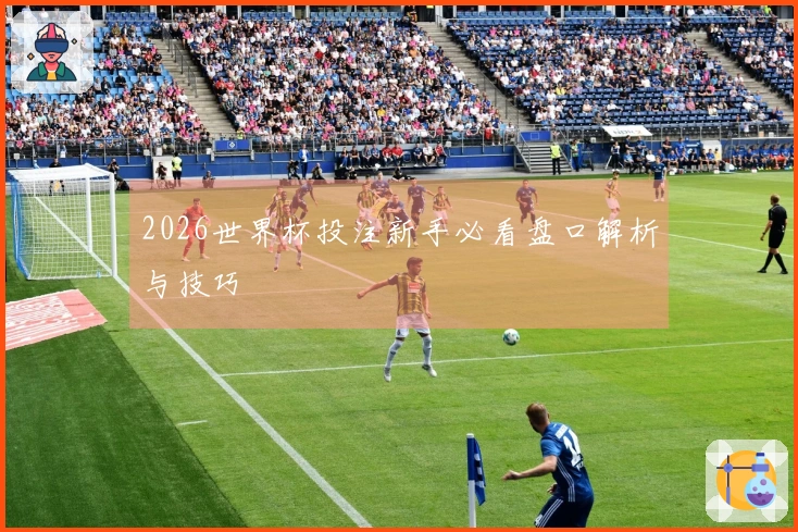2026世界杯投注新手必看盘口解析与技巧