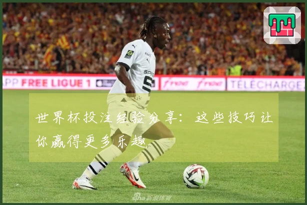 世界杯投注经验分享：这些技巧让你赢得更多乐趣