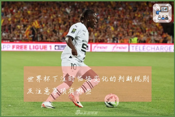 世界杯下注时临场变化的判断规则及注意事项有哪些
