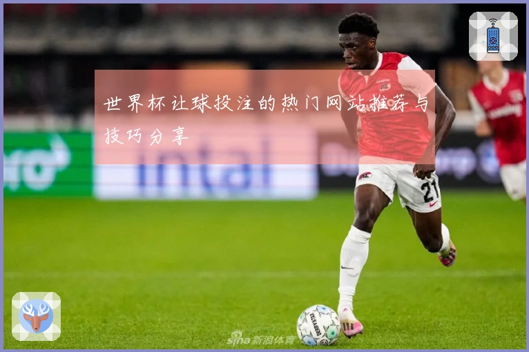 世界杯让球投注的热门网站推荐与技巧分享