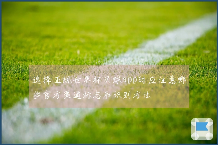 选择正规世界杯买球app时应注意哪些官方渠道标志和识别方法