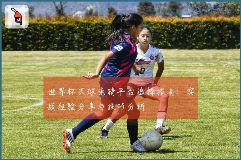 世界杯买球竞猜平台选择指南：实战经验分享与技巧分析