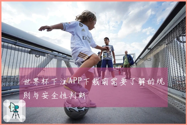 世界杯下注APP下载前需要了解的规则与安全性判断