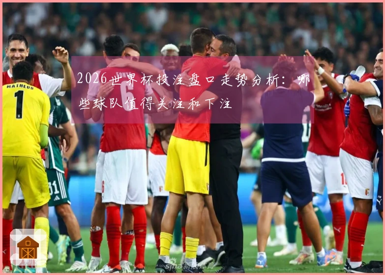 2026世界杯投注盘口走势分析：哪些球队值得关注和下注