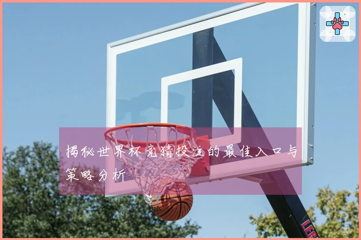 揭秘世界杯竞猜投注的最佳入口与策略分析