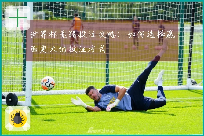 世界杯竞猜投注攻略：如何选择赢面更大的投注方式