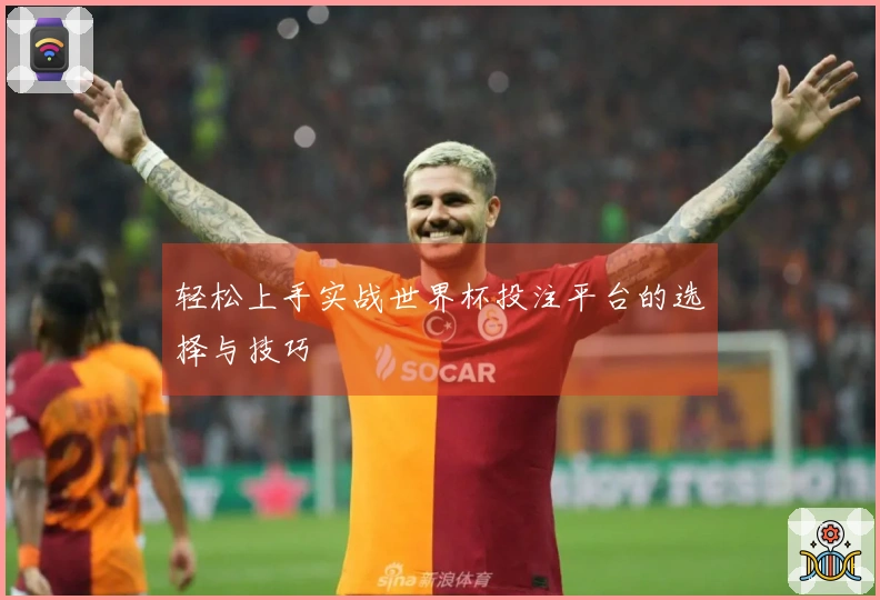 轻松上手实战世界杯投注平台的选择与技巧