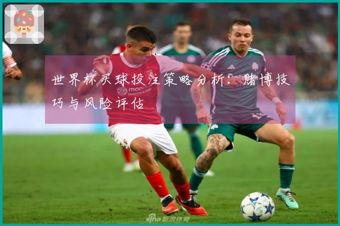 世界杯买球投注策略分析：赌博技巧与风险评估