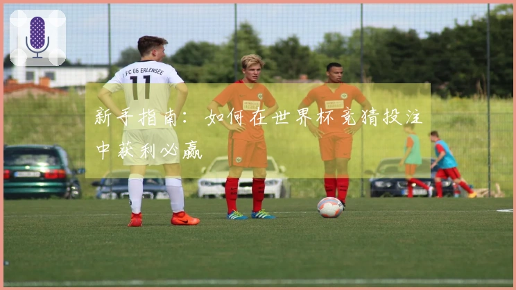 新手指南：如何在世界杯竞猜投注中获利必赢