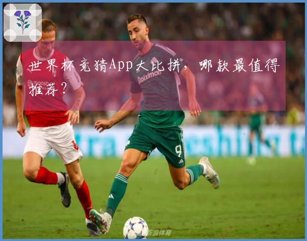 世界杯竞猜App大比拼，哪款最值得推荐？