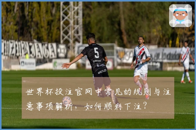 世界杯投注官网中常见的规则与注意事项解析，如何顺利下注？