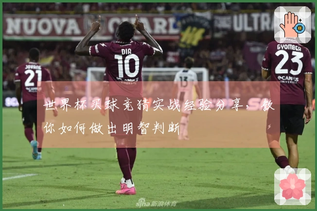 世界杯买球竞猜实战经验分享，教你如何做出明智判断