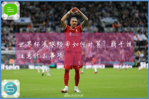 世界杯滚球赔率如何计算？新手该注意什么事项