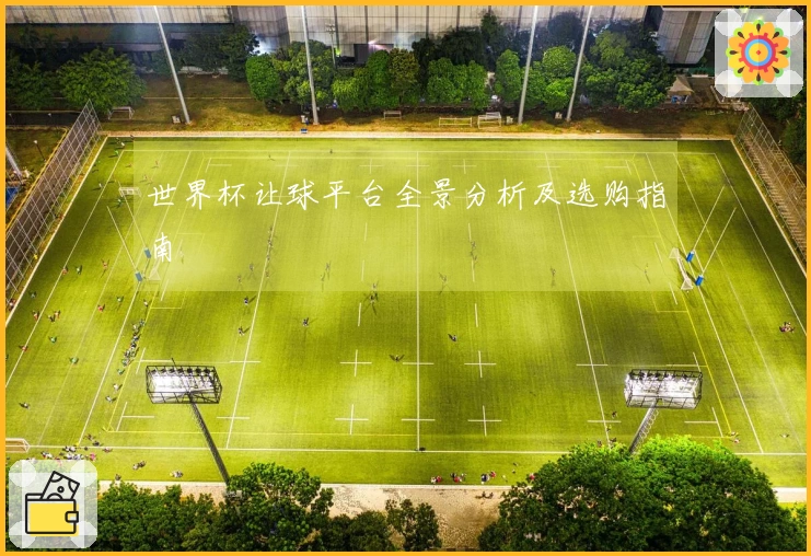世界杯让球平台全景分析及选购指南