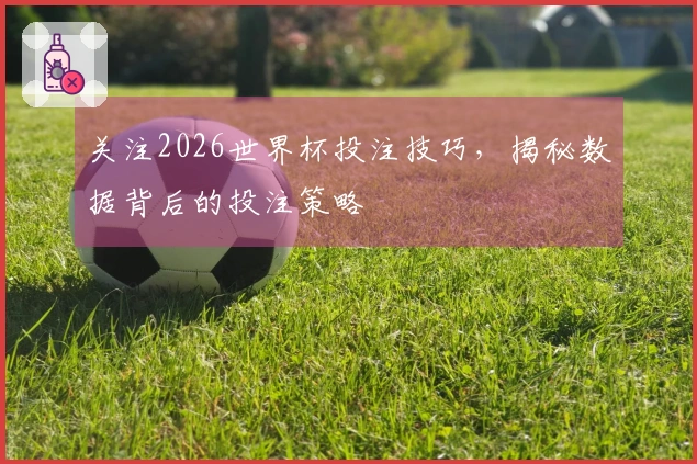 关注2026世界杯投注技巧，揭秘数据背后的投注策略