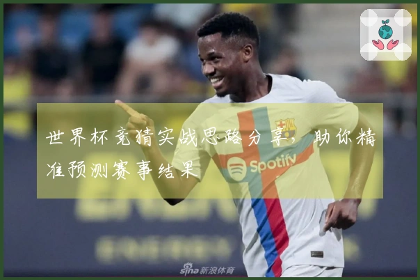 世界杯竞猜实战思路分享，助你精准预测赛事结果