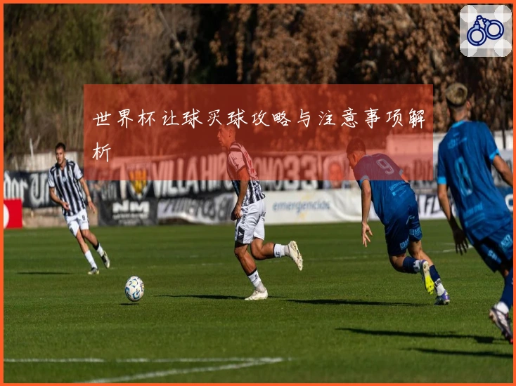 世界杯让球买球攻略与注意事项解析
