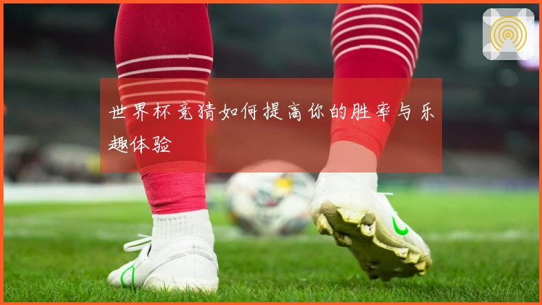 世界杯竞猜如何提高你的胜率与乐趣体验