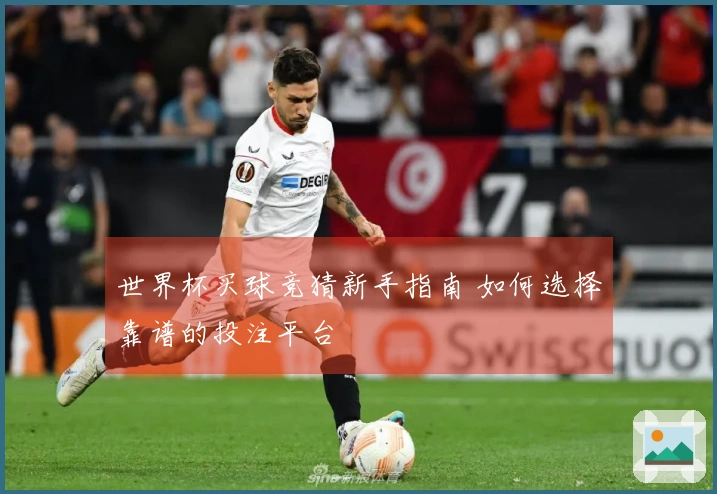 世界杯买球竞猜新手指南 如何选择靠谱的投注平台