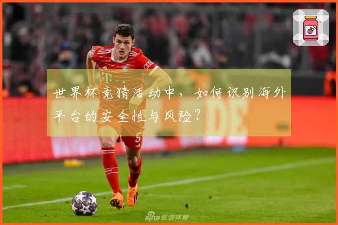 世界杯竞猜活动中，如何识别海外平台的安全性与风险？
