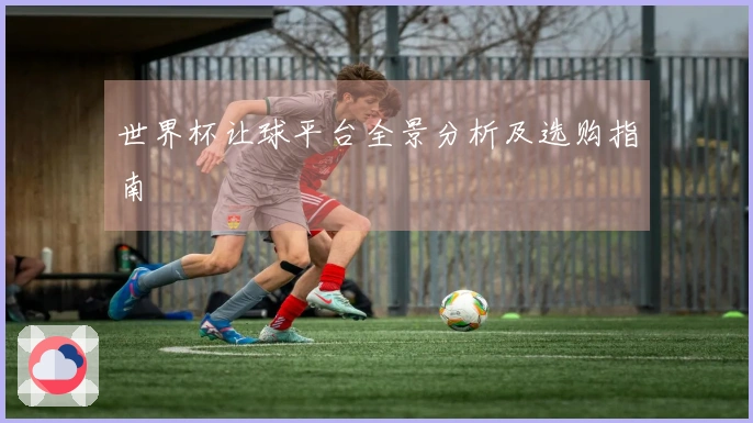 世界杯让球平台全景分析及选购指南