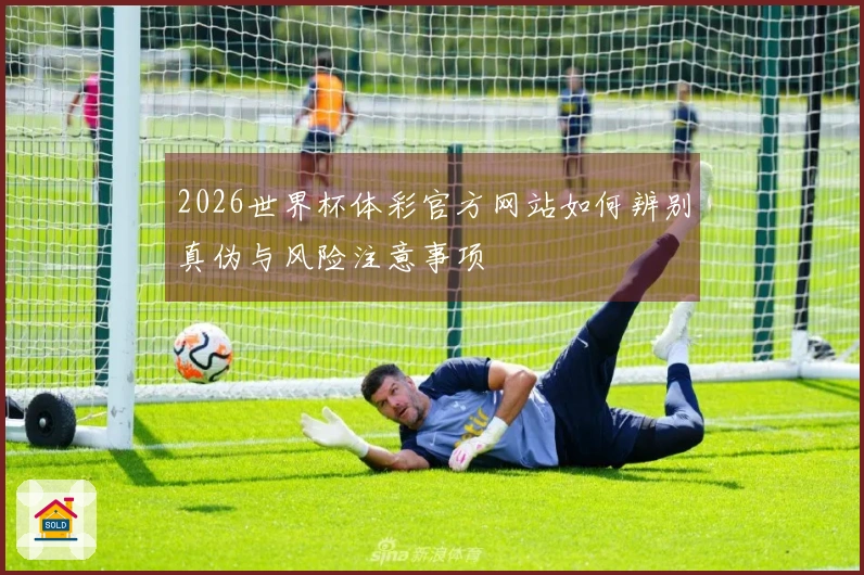 2026世界杯体彩官方网站如何辨别真伪与风险注意事项