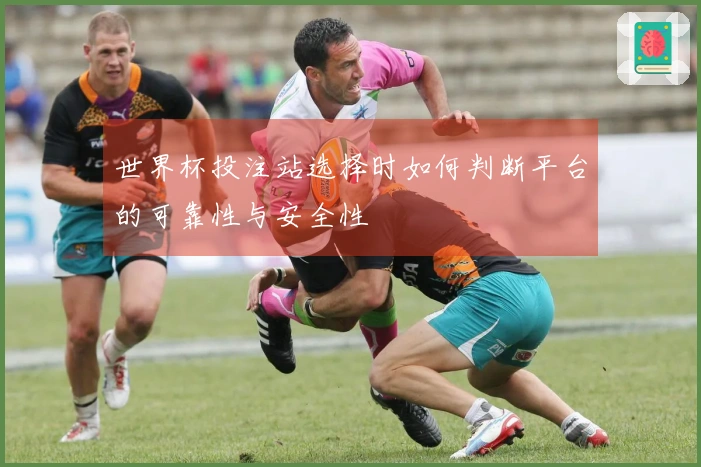 世界杯投注站选择时如何判断平台的可靠性与安全性