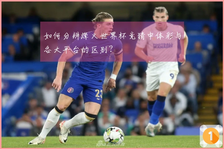 如何分辨烽火世界杯竞猜中体彩与各大平台的区别？