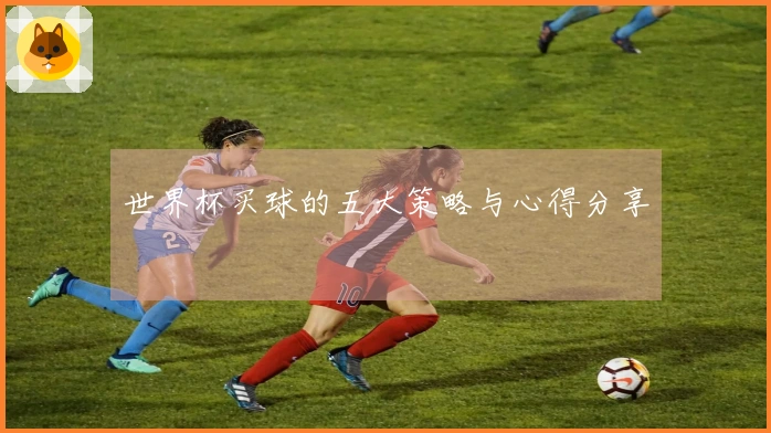 世界杯买球的五大策略与心得分享