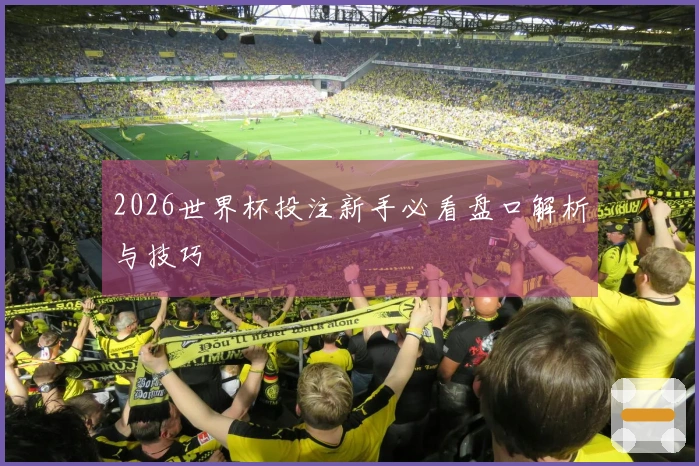 2026世界杯投注新手必看盘口解析与技巧